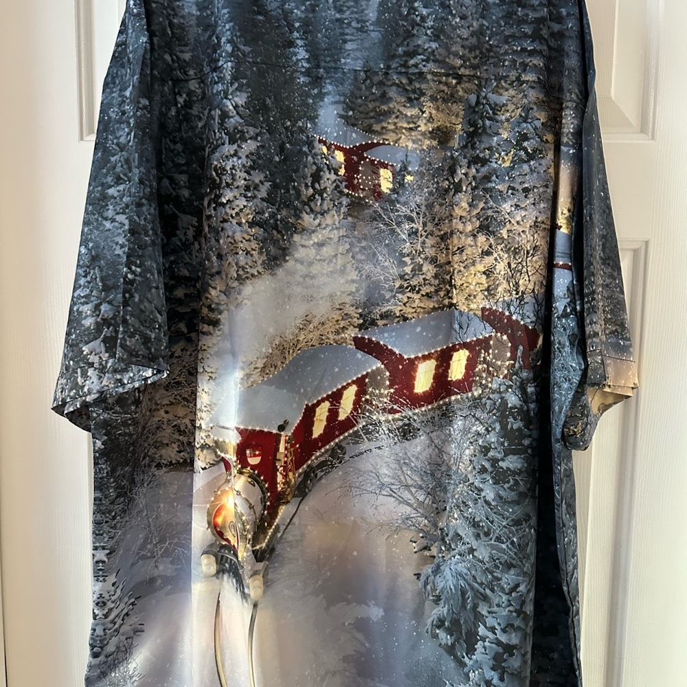 ✨ NWT Royaura Winter Train Scene Button Down ✨